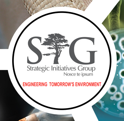 SG Group